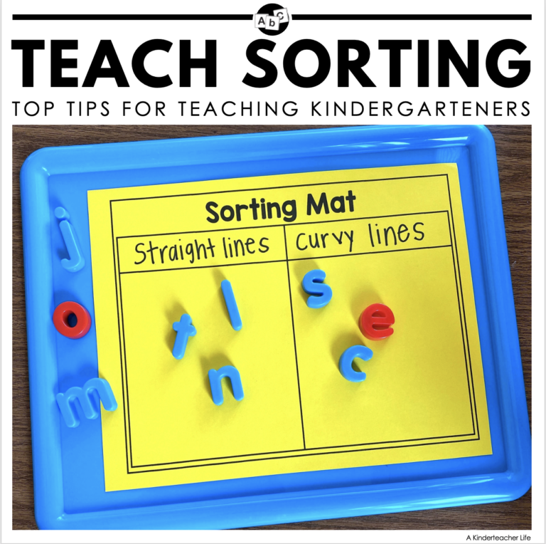 Ways to Teach Kindergartners How to Sort